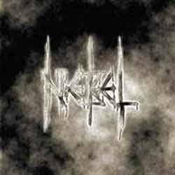 Nebel (FRA) : Hymns of Destruction